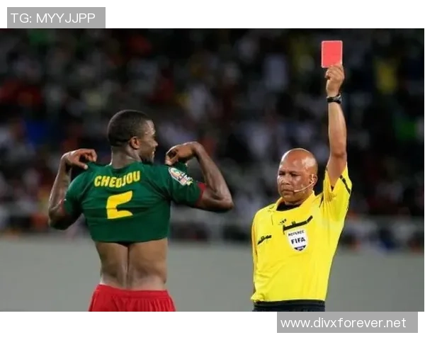 足球明星如巴哥般闪耀绿茵场的传奇与魅力解析