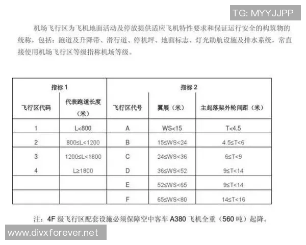 足球明星的等级划分及其影响力分析探讨