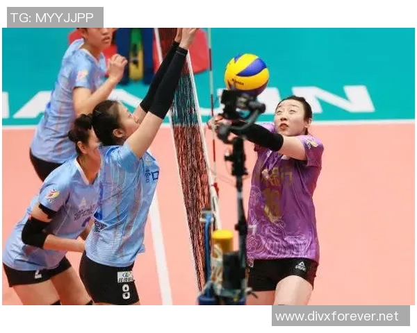 排球深度：解密武汉排球队的反击